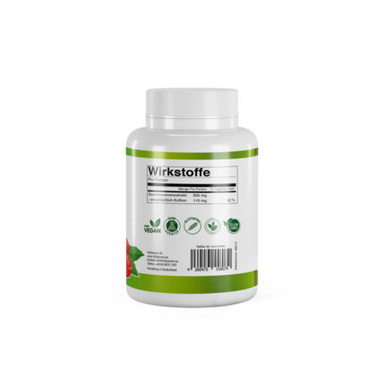 VitaSanum®- Guarana (Paullinia cupana) 600 mg 90 Tabletten