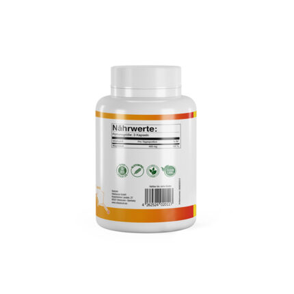VitaSanum® Magnesium Glycinate – Sanft & hoch bioverfügbar (90 Kapseln)